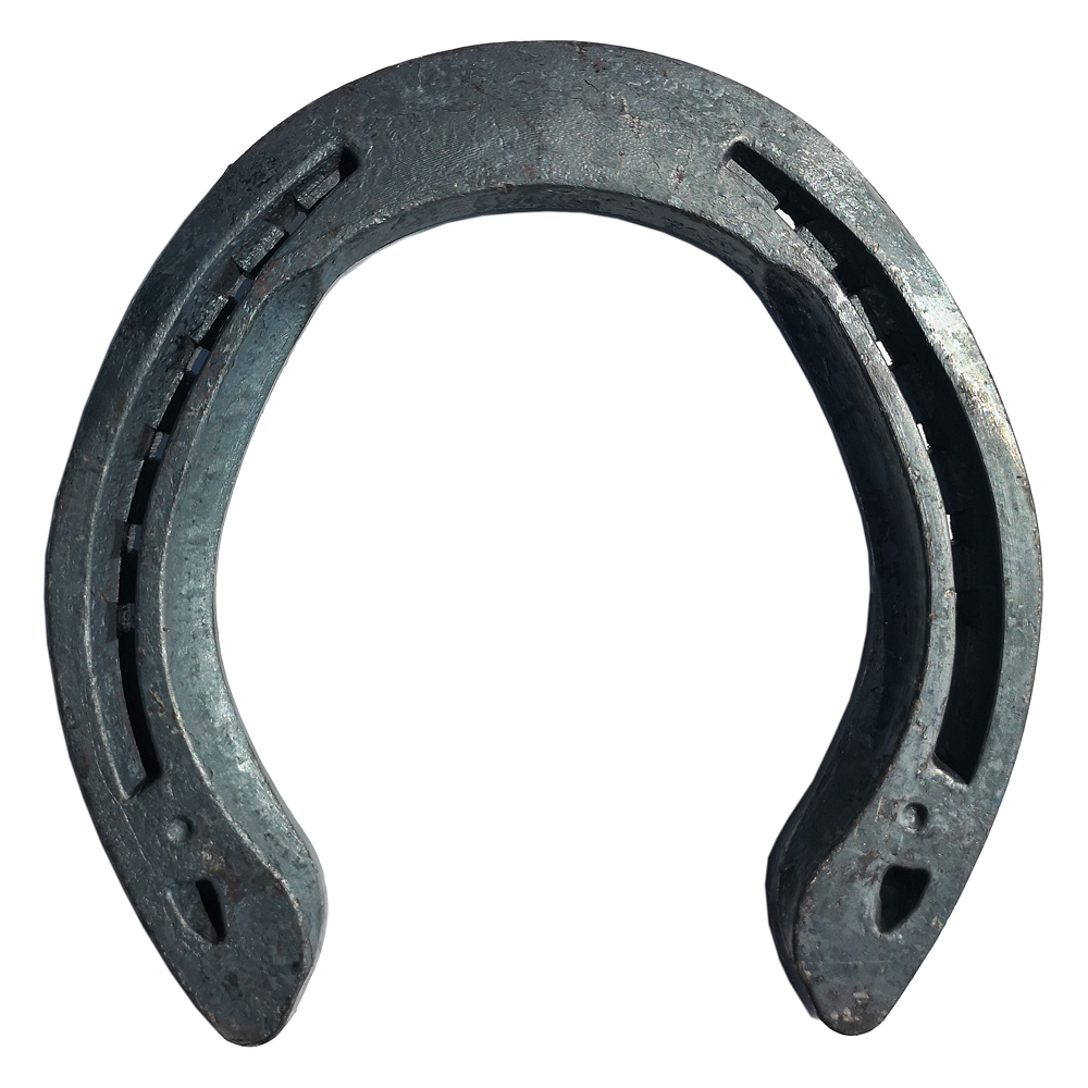 Alpha Ultra Hind Horseshoe's Buy at TFP Ltd