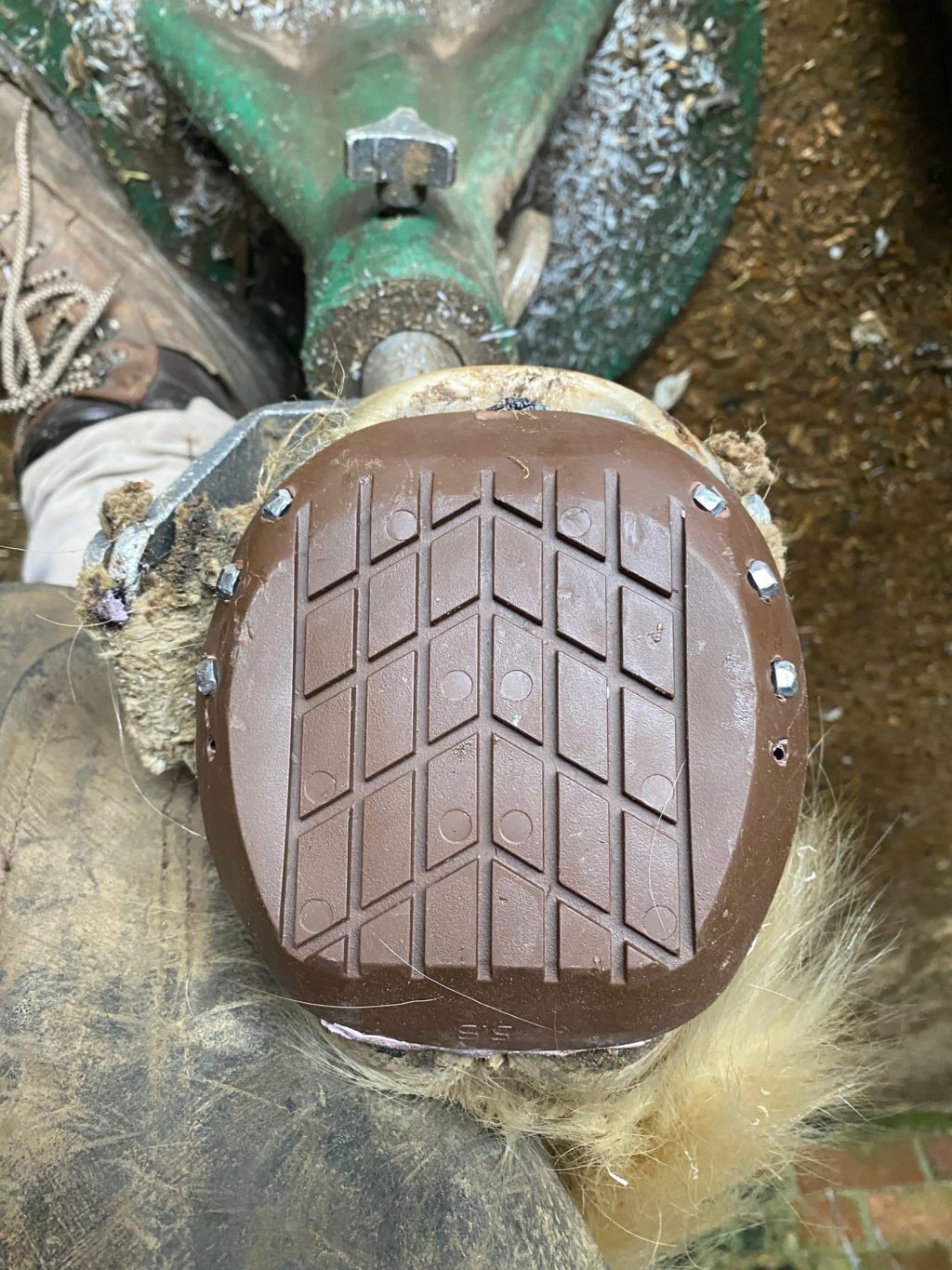 Farrier Jack Spriggs demonstrates the application of Clogs and Avainti