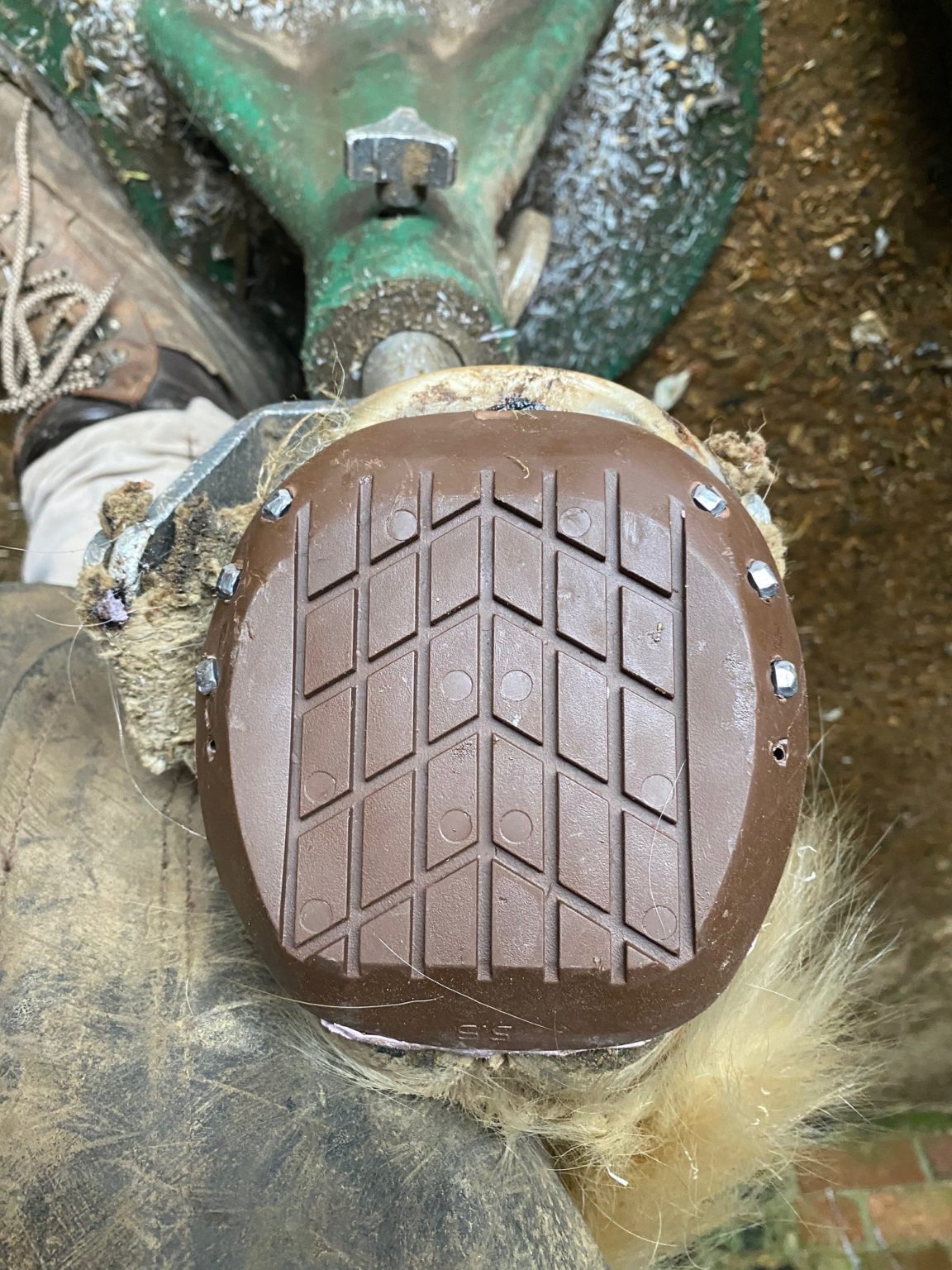 Farrier Jack Spriggs demonstrates the application of Clogs and Avainti