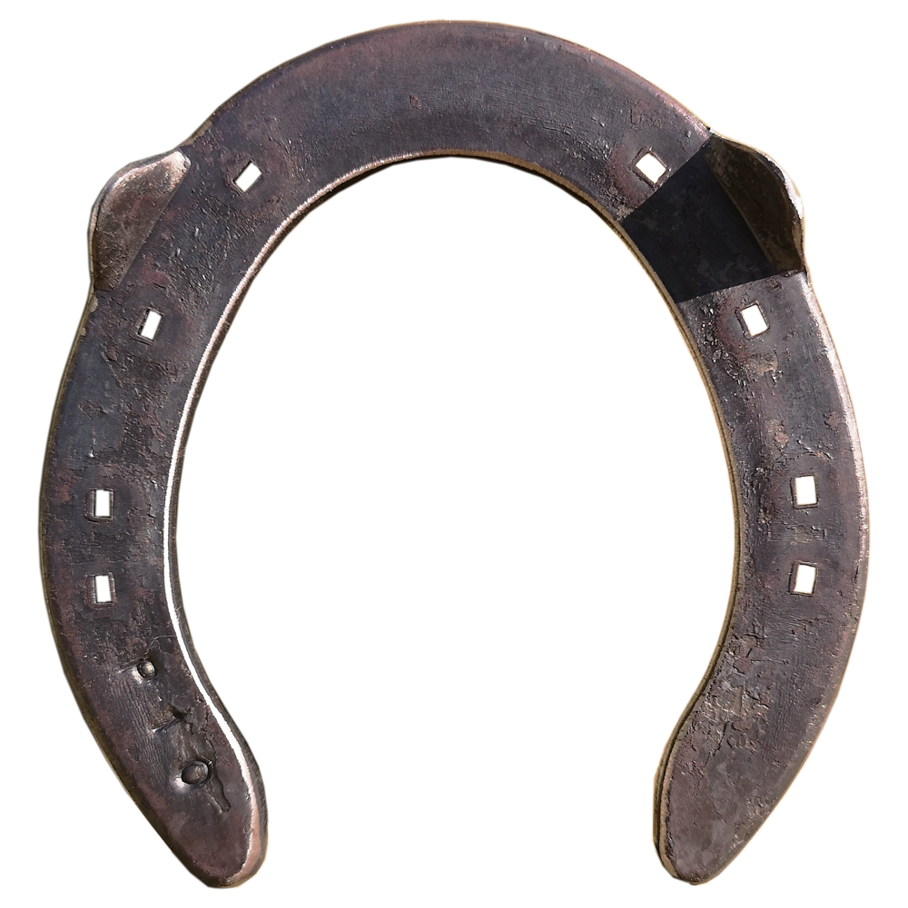 Malaysian Quality Pony Horseshoes Buy at